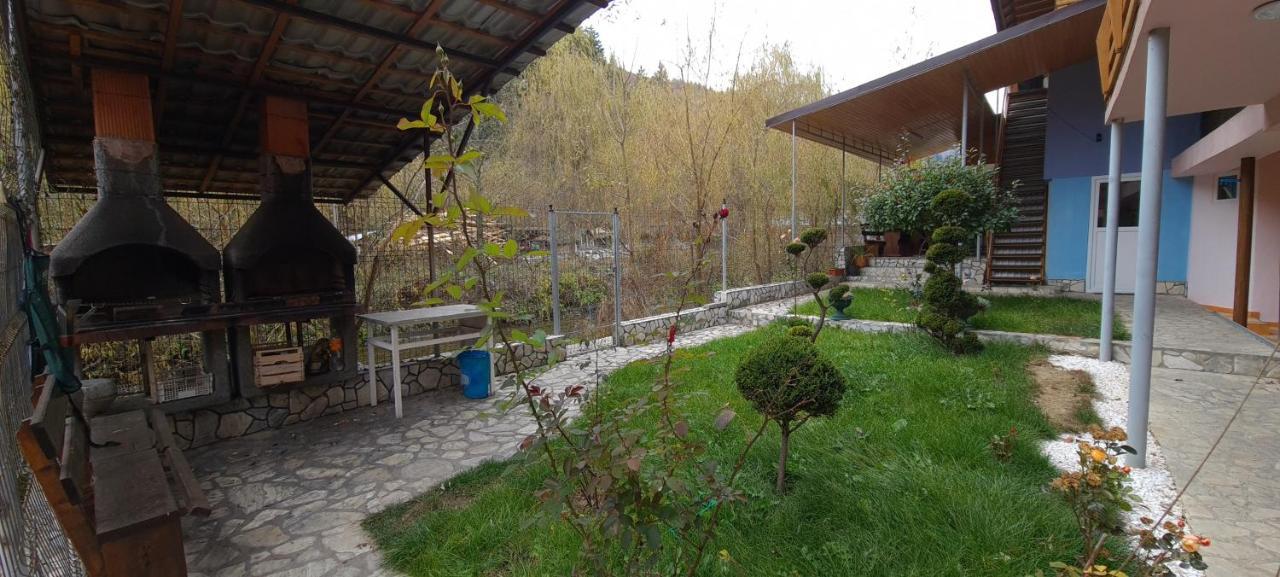 Pensiunea Aurora - Great Hostel فوينياسا المظهر الخارجي الصورة