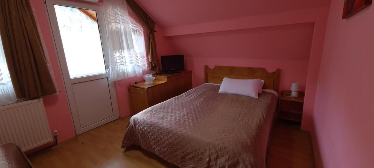 Pensiunea Aurora - Great Hostel فوينياسا المظهر الخارجي الصورة