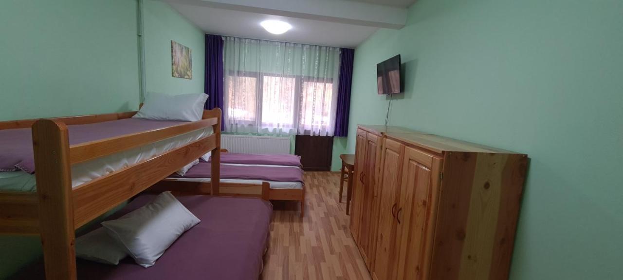Pensiunea Aurora - Great Hostel فوينياسا المظهر الخارجي الصورة
