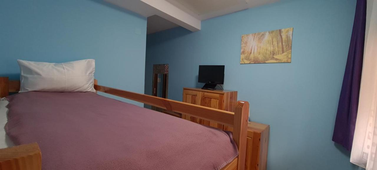 Pensiunea Aurora - Great Hostel فوينياسا المظهر الخارجي الصورة