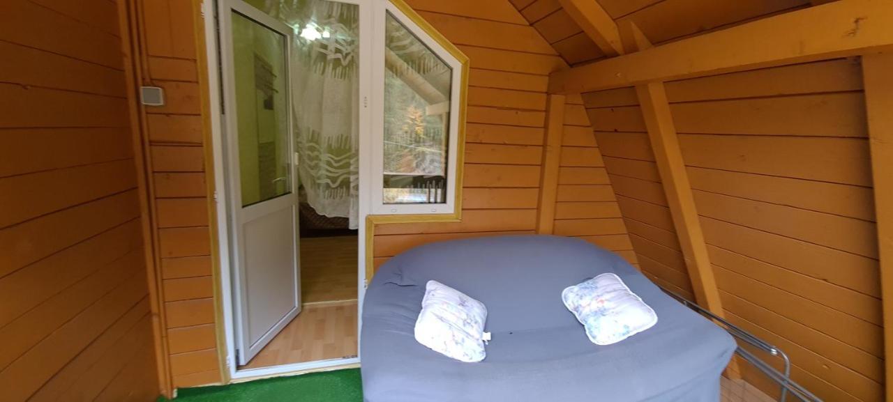 Pensiunea Aurora - Great Hostel فوينياسا المظهر الخارجي الصورة