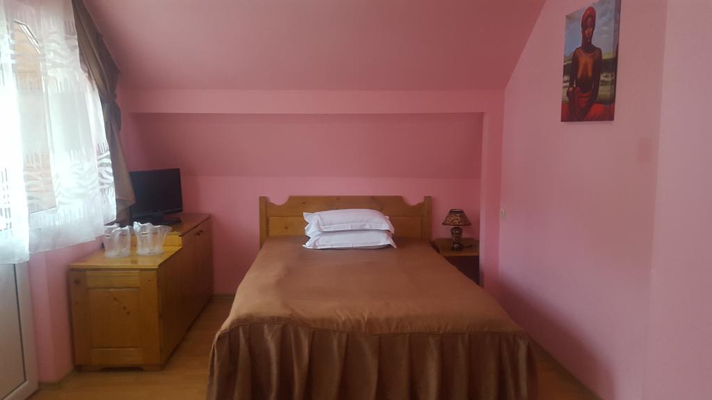 Pensiunea Aurora - Great Hostel فوينياسا المظهر الخارجي الصورة
